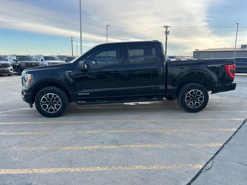 Used 2023 Ford F150 XLT w/ Equipment Group 302A High image 6