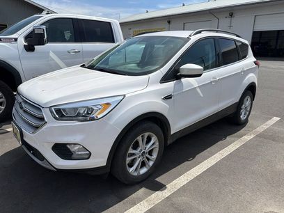 Used 2019 Ford Escape SEL