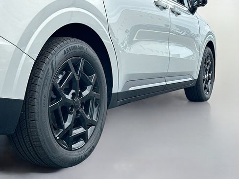 New 2025 Kia Carnival SX Prestige image 13