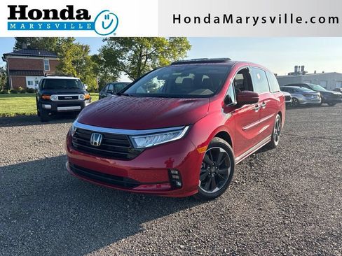 Used 2024 Honda Odyssey Elite image 1