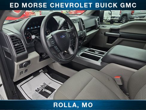 Used 2019 Ford F150 XLT w/ Equipment Group 302A Luxury AWD/4WD image 14