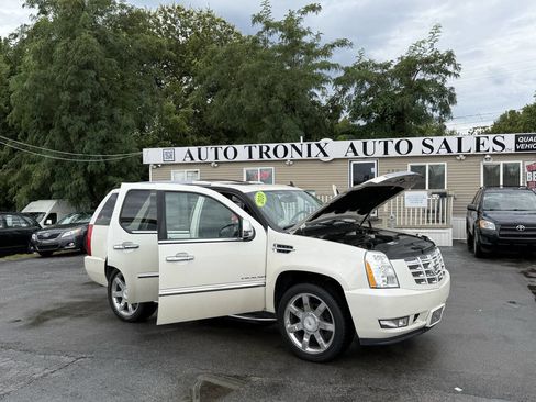 Used 2010 Cadillac Escalade Luxury image 23