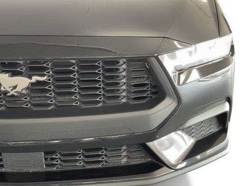 Used 2025 Ford Mustang EcoBoost image 11