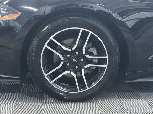 Used 2019 Ford Mustang Premium RWD image 15