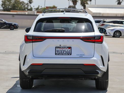 Used 2025 Lexus NX 350h AWD w/ Premium Package image 6