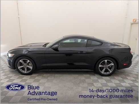 Used 2017 Ford Mustang Coupe RWD image 10