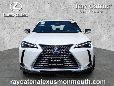 Used 2025 Lexus UX 300h AWD w/ Cold Area Package image 2