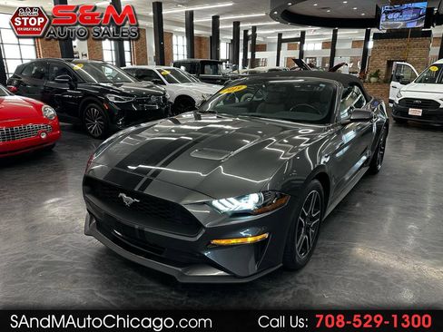Used 2019 Ford Mustang Convertible w/ Equipment Group 101A image 1