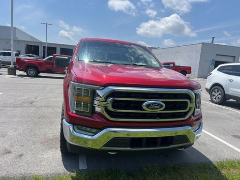 Used 2021 Ford F150 XLT w/ Equipment Group 302A High AWD/4WD image 6