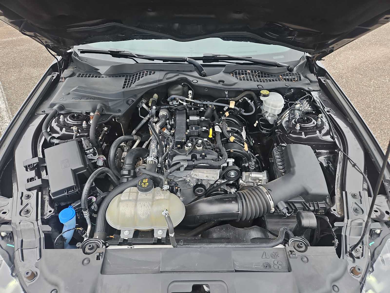 Used 2023 Ford Mustang Coupe RWD image 17
