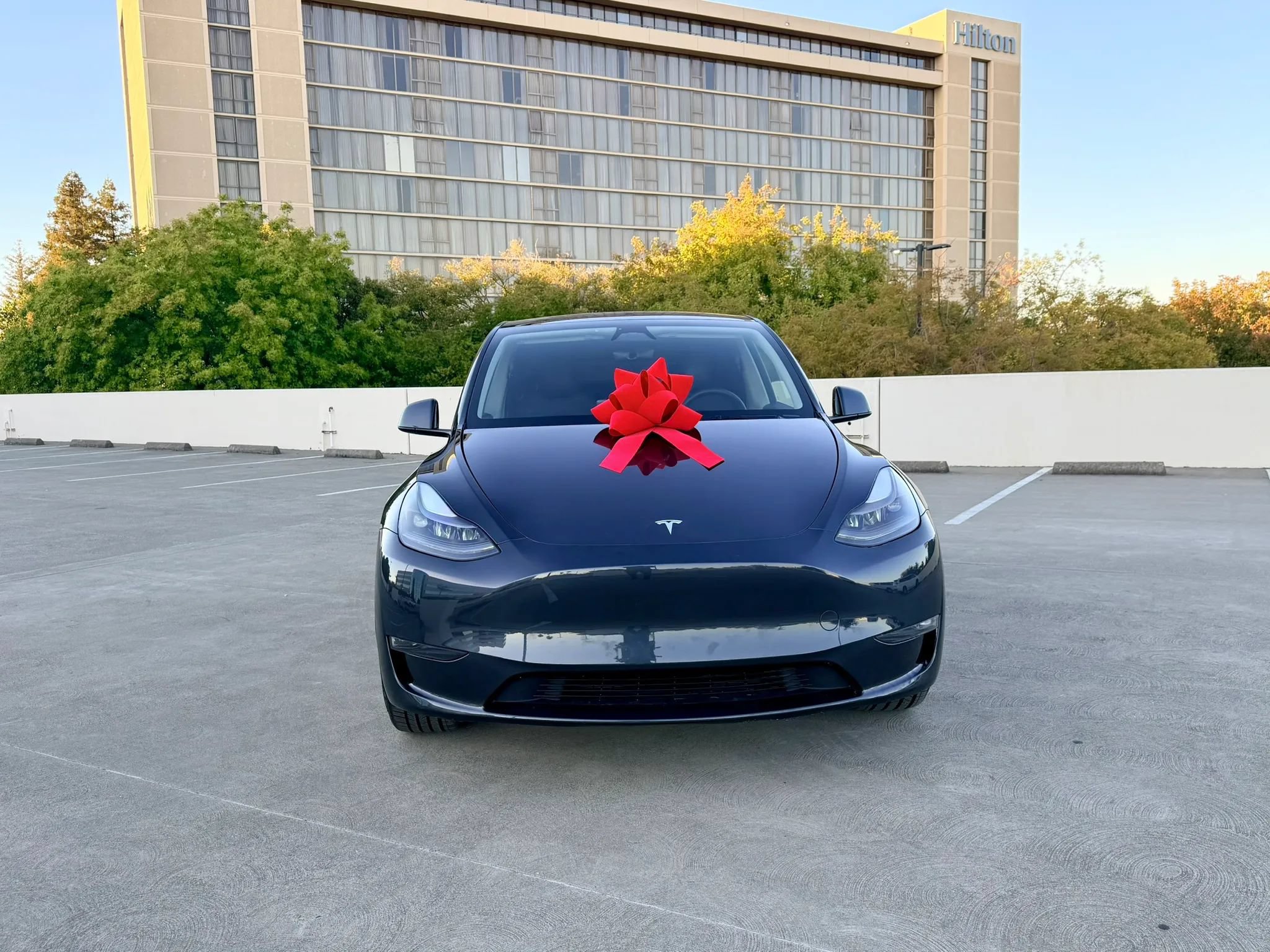 Used 2025 Tesla Model Y Long Range AWD/4WD image 1