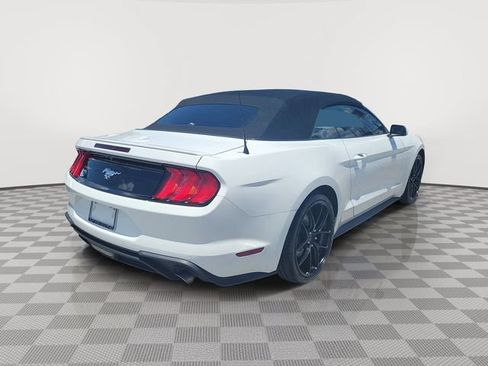 Used 2023 Ford Mustang Premium RWD image 5