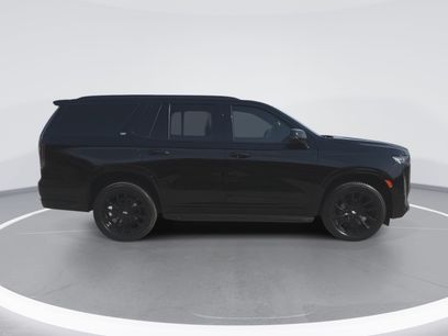 Used 2024 Cadillac Escalade Sport w/ LPO, ONYX Package