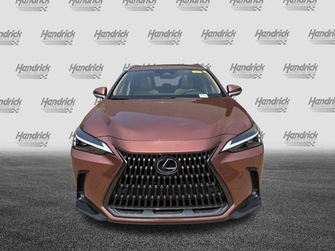Certified 2025 Lexus NX 350 AWD w/ Cold Area Package image 3