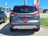 Used 2014 Ford Escape SE image 3