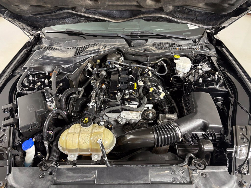 Used 2021 Ford Mustang Coupe w/ Equipment Group 101A RWD image 43