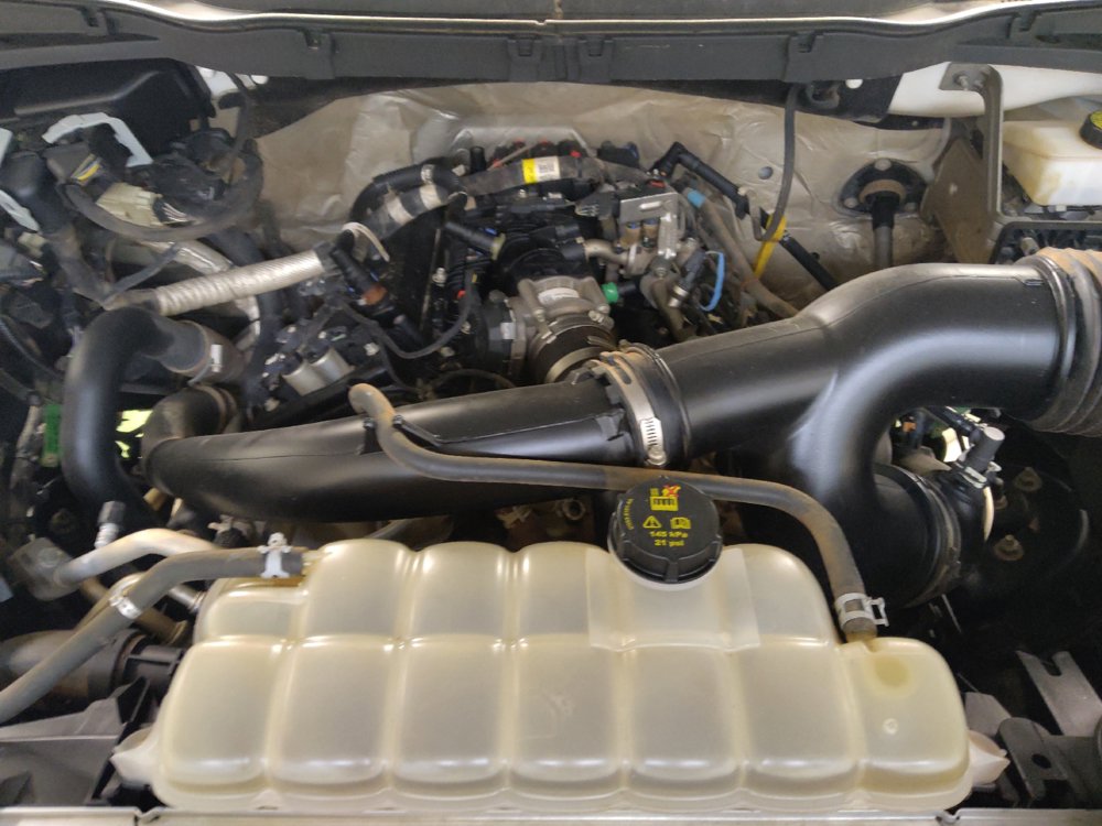 Used 2022 Ford F150 XL w/ STX Appearance Package AWD/4WD image 30