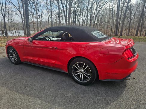 Used 2016 Ford Mustang Premium image 3