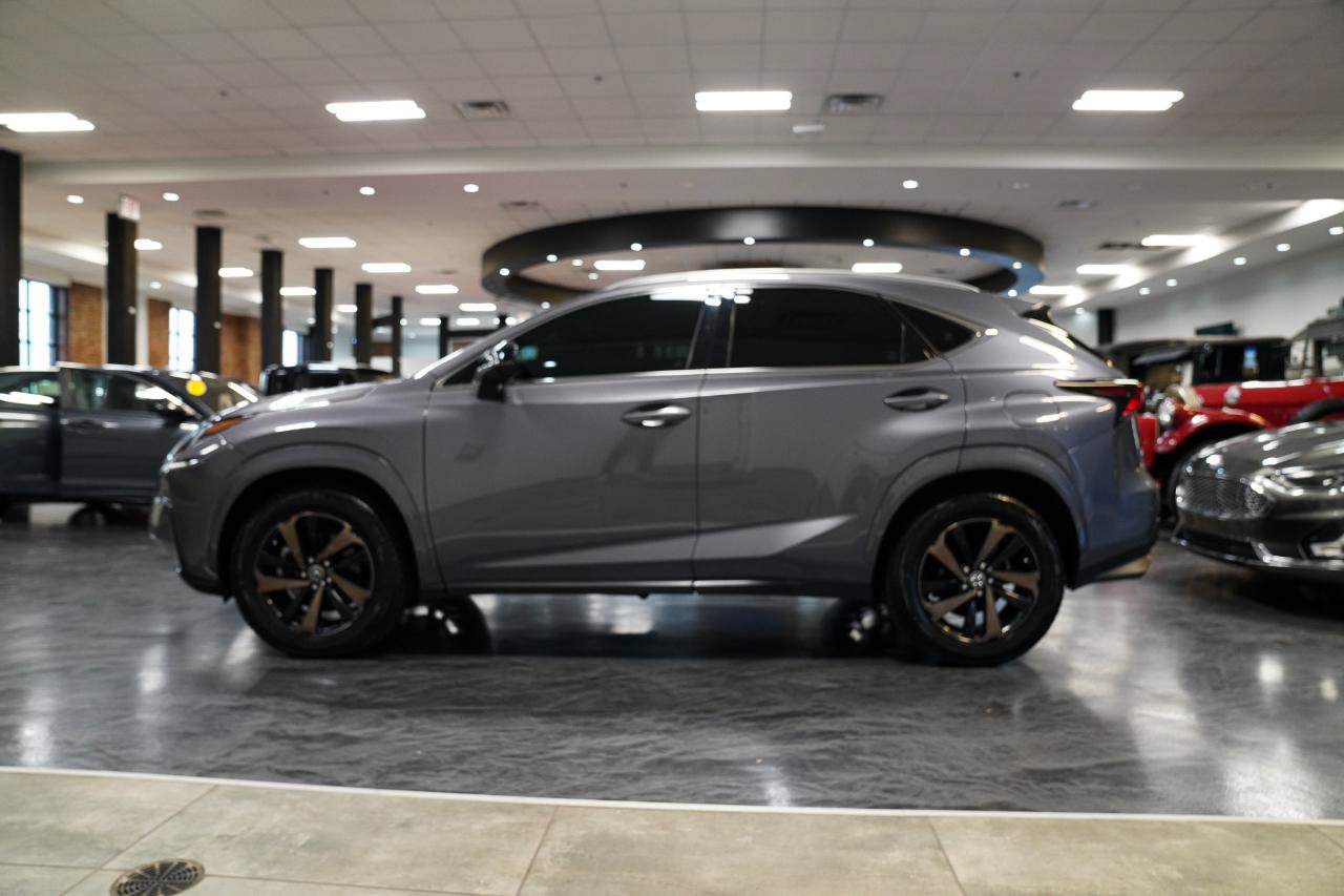 Used 2020 Lexus NX 300 AWD w/ Black Line Edition image 6