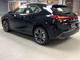 New 2025 Lexus UX 300h AWD image 5