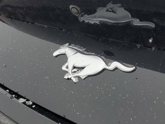 New 2026 Ford Mustang Premium RWD image 6