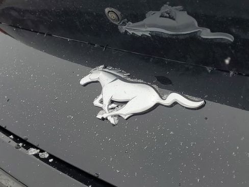 New 2026 Ford Mustang Premium RWD image 6