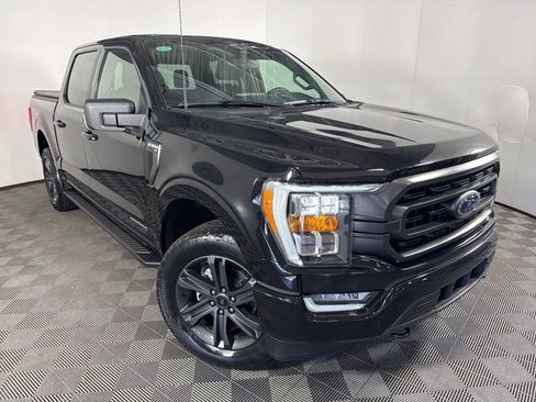 Used 2023 Ford F150 XLT w/ Equipment Group 302A High image 2