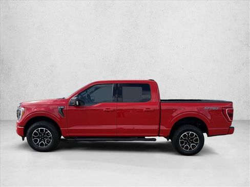Used 2023 Ford F150 XLT w/ Equipment Group 302A High AWD/4WD image 9