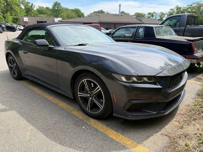 Used 2024 Ford Mustang Premium