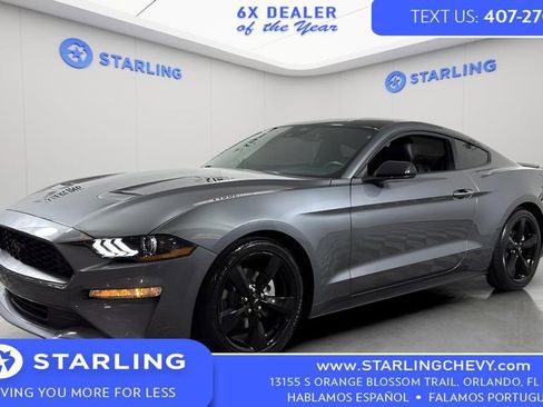 Used 2023 Ford Mustang Premium w/ Mustang Nite Pony Package image 1