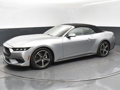 Used 2024 Ford Mustang Premium