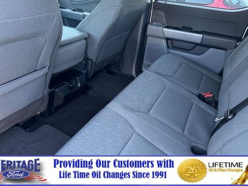Used 2025 Ford F150 XLT w/ Equipment Group 301A Standard AWD/4WD image 12