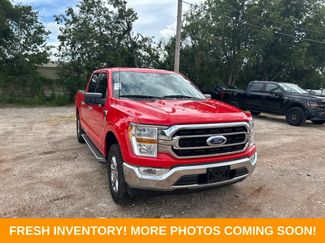 Used 2023 Ford F150 XLT w/ Equipment Group 301A Mid RWD video 1