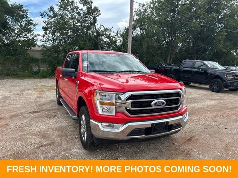 Used 2023 Ford F150 XLT w/ Equipment Group 301A Mid RWD image 1