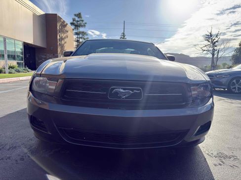 Used 2010 Ford Mustang Premium image 7