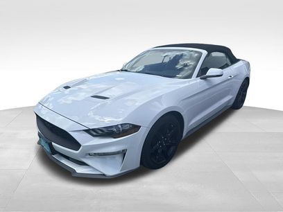 Used 2019 Ford Mustang Premium w/ Black Accent Package