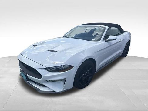 Used 2019 Ford Mustang Premium w/ Black Accent Package RWD image 1