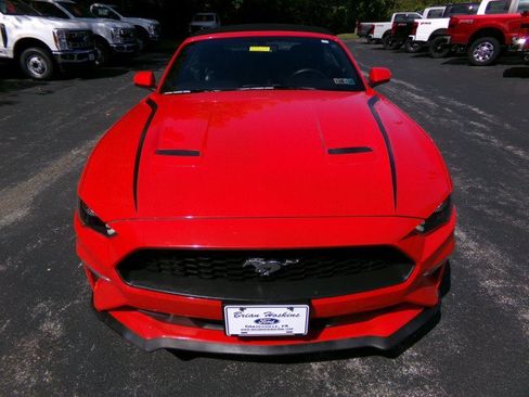 Used 2020 Ford Mustang Premium RWD image 4