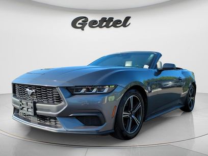 Used 2024 Ford Mustang Premium