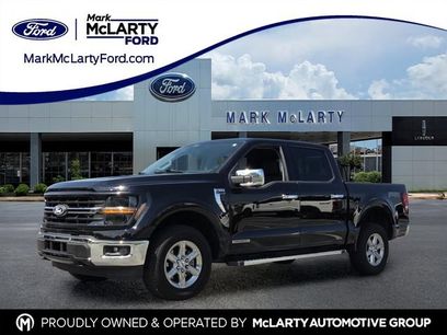 Certified 2025 Ford F150 XLT w/ Equipment Group 302A MID