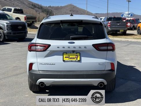 Used 2025 Ford Escape Platinum image 6