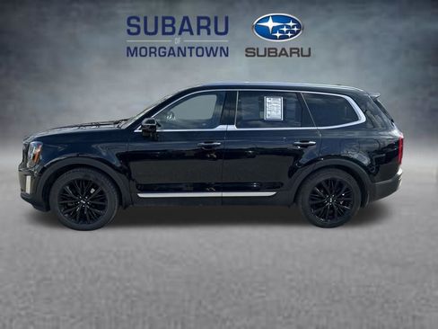 Used 2021 Kia Telluride SX w/ Towing Package AWD/4WD image 1