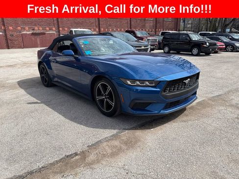Used 2024 Ford Mustang Premium image 1