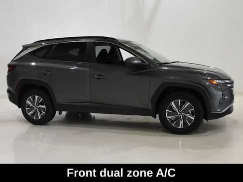Used 2024 Hyundai Tucson Blue AWD/4WD image 4