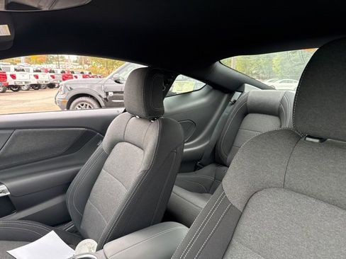 New 2026 Ford Mustang Coupe w/ Mustang Nite Pony Package image 24