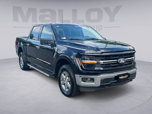 Used 2025 Ford F150 XLT w/ Equipment Group 301A Standard AWD/4WD image 7