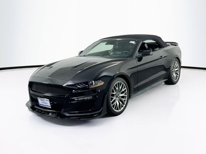 Used 2019 Ford Mustang Premium w/ Equipment Group 201A