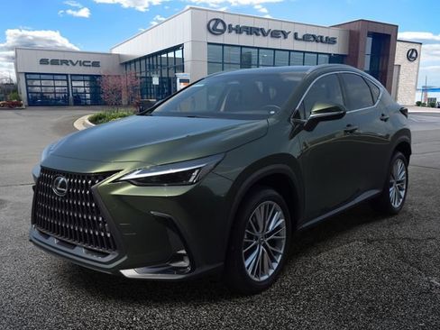 Used 2025 Lexus NX 350h AWD w/ Cold Area Package image 1
