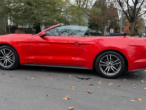Used 2017 Ford Mustang Premium image 13