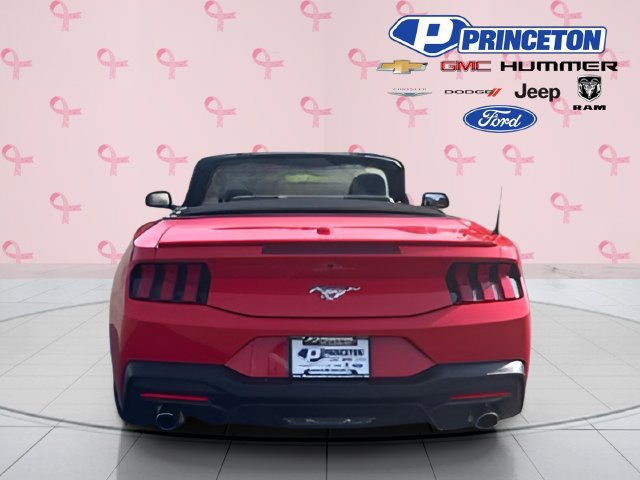 Used 2025 Ford Mustang Premium RWD image 7
